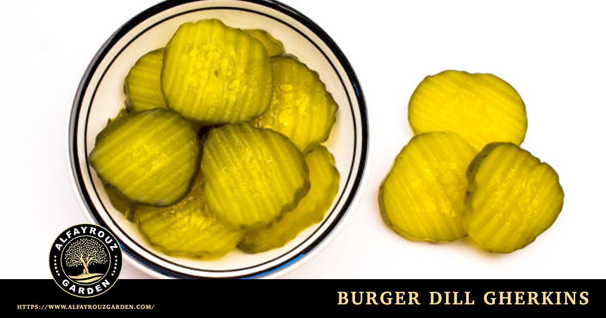 Burger dill gherkins