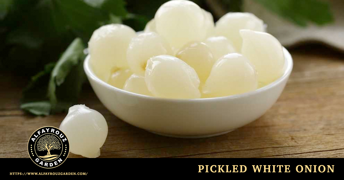 Pickled white onion