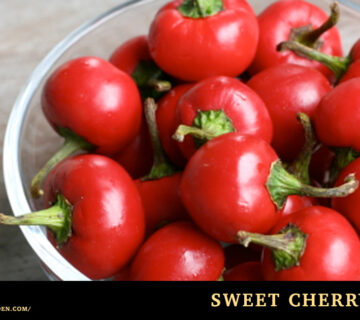 Sweet cherry peppers