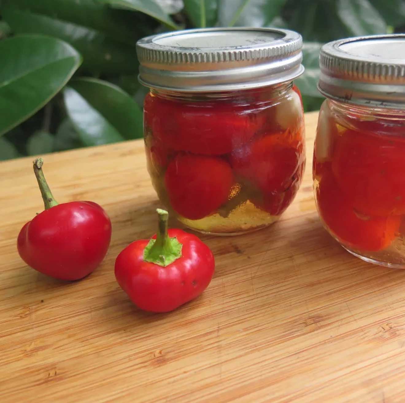 Sweet cherry peppers
