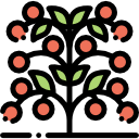 Alfayrouz garden for food industries and export
