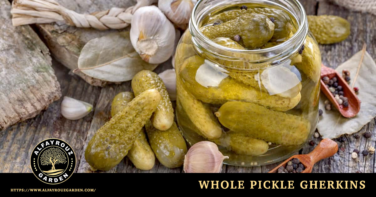 Whole pickle gherkins